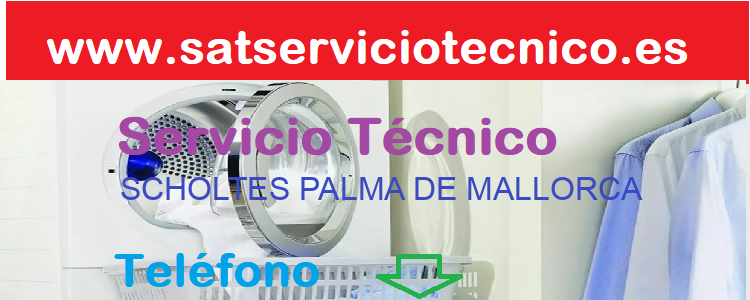 Telefono Servicio Tecnico SCHOLTES 