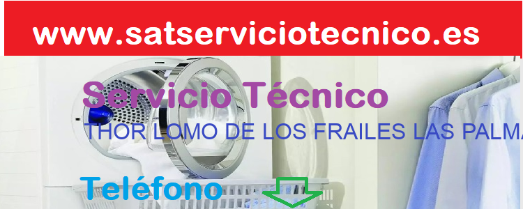 Telefono Servicio Tecnico THOR 